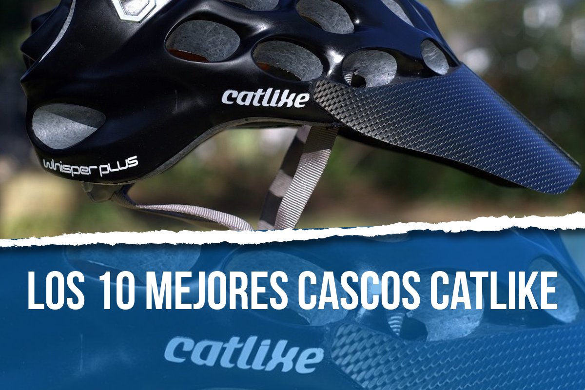 Les 10 meilleures coques félines : plus rigides et plus résistantes