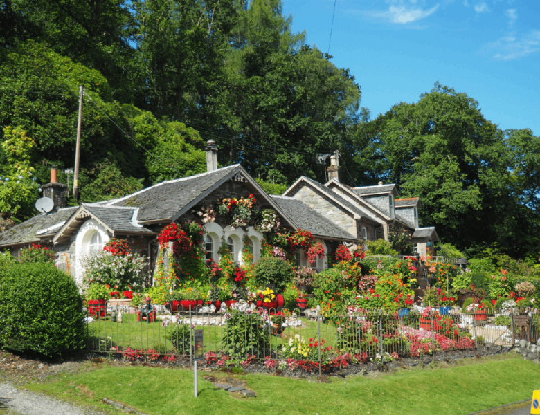 Quelle est la meilleure bordure pour jardin ?