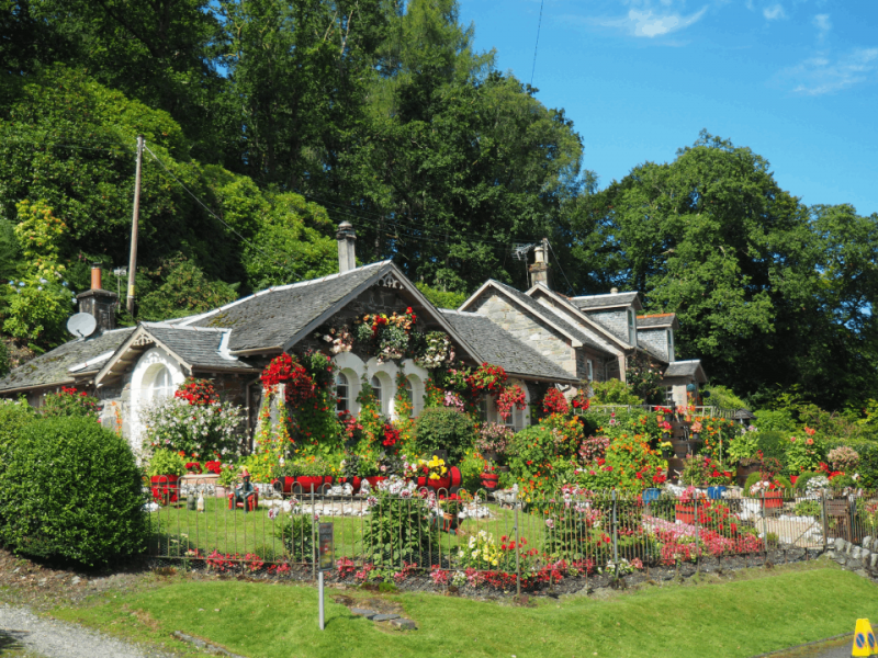 Quelle est la meilleure bordure pour jardin ?